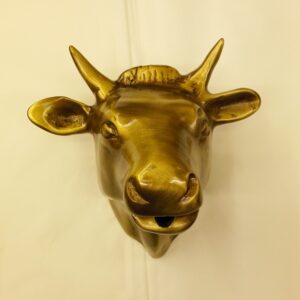 testa di toro per fontana - bull's head for fountain